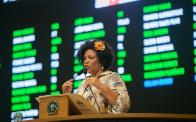 Dani Portela protocola denúncia sobre irregularidades em ônibus escolares